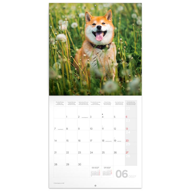 NOTIQUE Grid calendar Happy Doge 2027, 30 x 30 cm NOTIQUE Grid calendar Happy Doge 2027, 30 x 30 cm