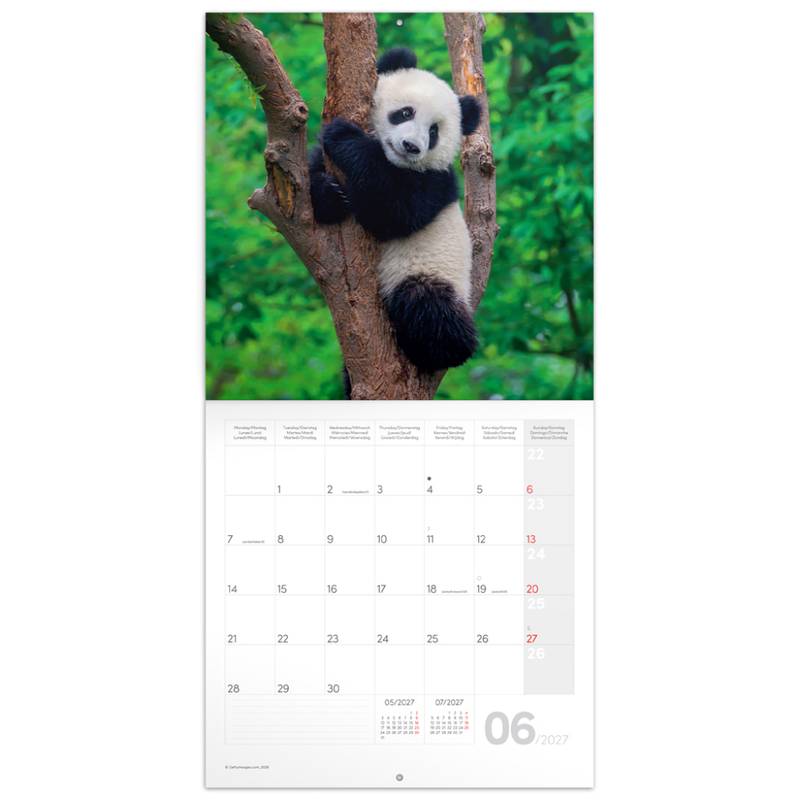 NOTIQUE Grid calendar Pandas 2027, 30 x 30 cm NOTIQUE Grid calendar Pandas 2027, 30 x 30 cm