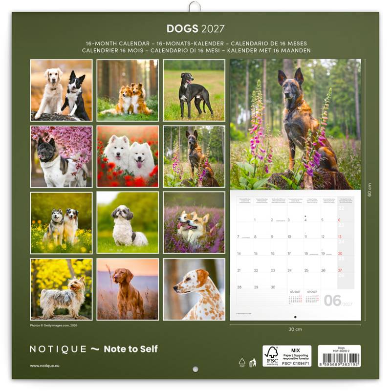 NOTIQUE Grid calendar Dogs 2027, 30 x 30 cm NOTIQUE Grid calendar Dogs 2027, 30 x 30 cm