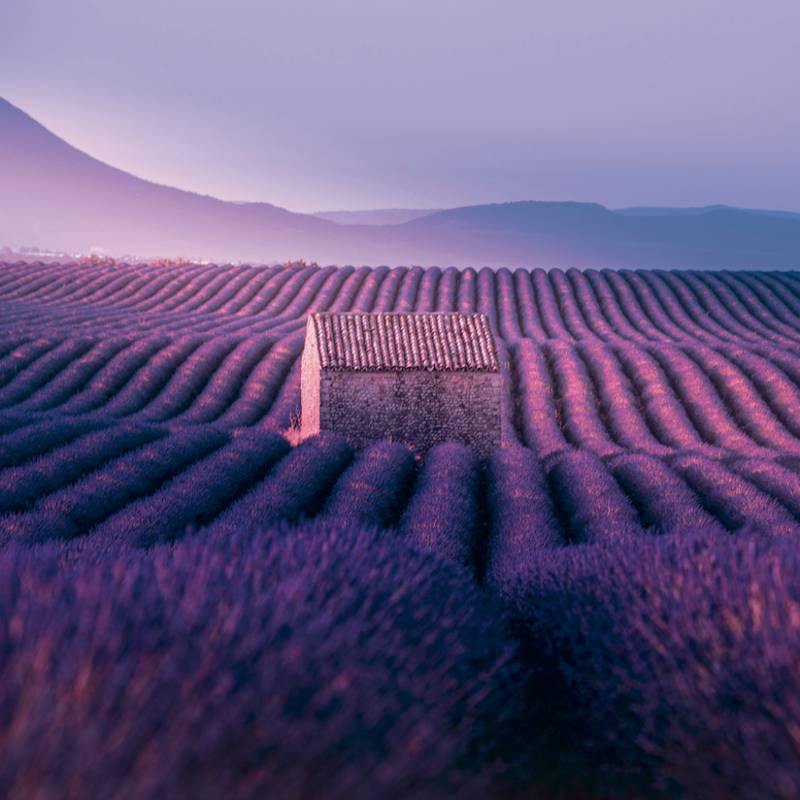 NOTIQUE Grid calendar Provence 2027, 30 x 30 cm NOTIQUE Grid calendar Provence 2027, 30 x 30 cm
