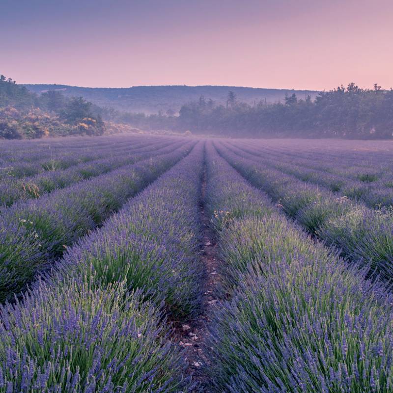 NOTIQUE Grid calendar Provence 2027, 30 x 30 cm NOTIQUE Grid calendar Provence 2027, 30 x 30 cm
