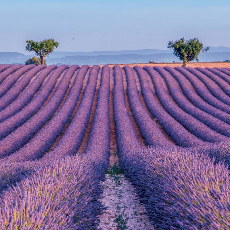NOTIQUE Grid calendar Provence 2027, 30 x 30 cm NOTIQUE Grid calendar Provence 2027, 30 x 30 cm