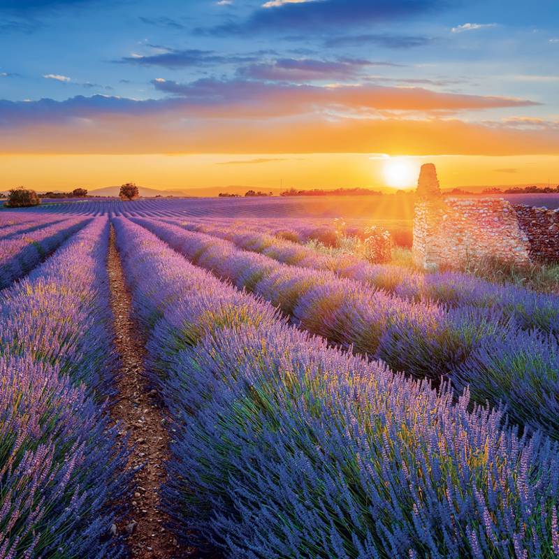 NOTIQUE Grid calendar Provence 2027, 30 x 30 cm NOTIQUE Grid calendar Provence 2027, 30 x 30 cm