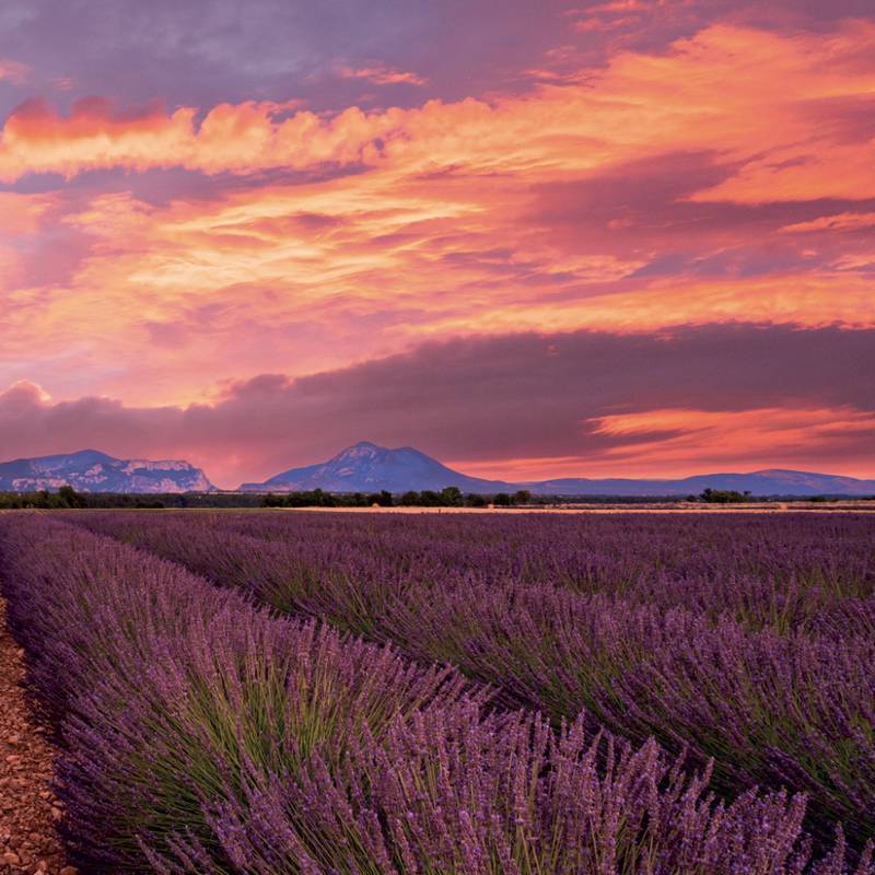 NOTIQUE Grid calendar Provence 2027, 30 x 30 cm NOTIQUE Grid calendar Provence 2027, 30 x 30 cm