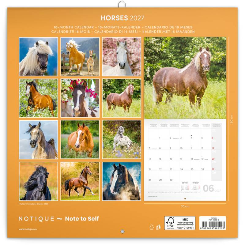 NOTIQUE Grid calendar Horses – Christiane Slawik 2027, 30 x 30 cm NOTIQUE Grid calendar Horses – Christiane Slawik 2027, 30 x 30 cm