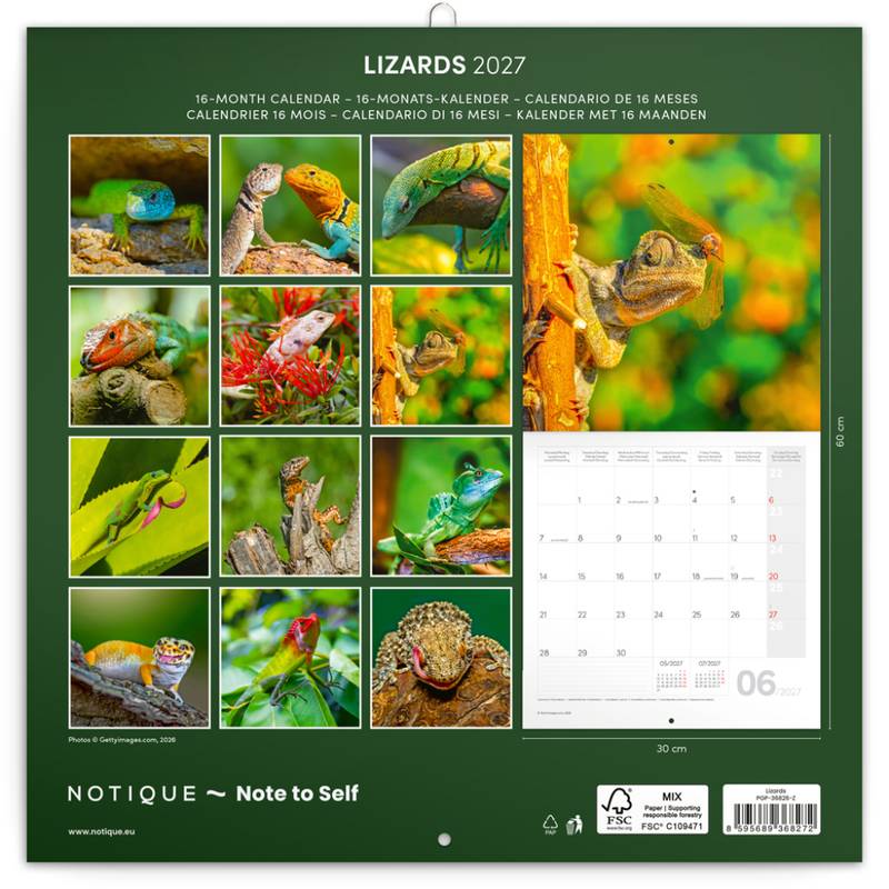 NOTIQUE Grid calendar Lizards 2027, 30 x 30 cm NOTIQUE Grid calendar Lizards 2027, 30 x 30 cm