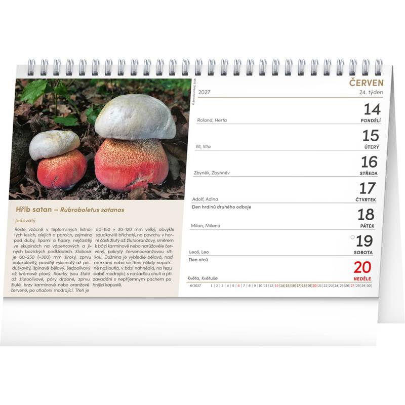 NOTIQUE Stolní kalendář Houby 2027, 23,1 x 14,5 cm NOTIQUE Stolní kalendář Houby 2027, 23,1 x 14,5 cm