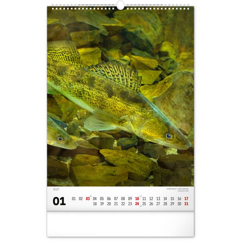 NOTIQUE Nástěnný kalendář Rybářský – Rybářský CZ/SK 2027, 33 x 46 cm NOTIQUE Nástěnný kalendář Rybářský – Rybářský CZ/SK 2027, 33 x 46 cm
