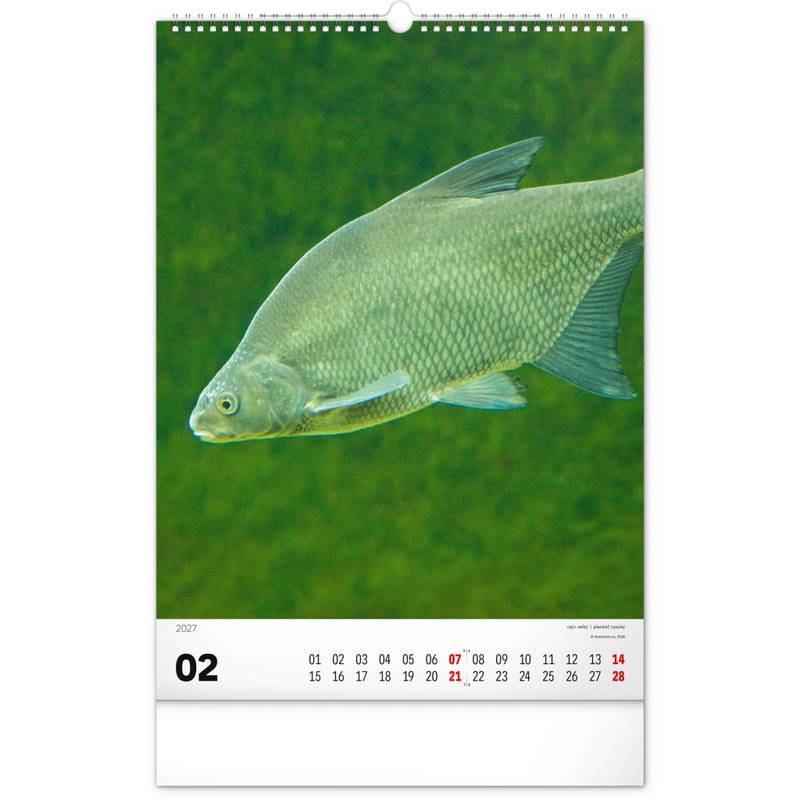 NOTIQUE Nástěnný kalendář Rybářský – Rybářský CZ/SK 2027, 33 x 46 cm NOTIQUE Nástěnný kalendář Rybářský – Rybářský CZ/SK 2027, 33 x 46 cm