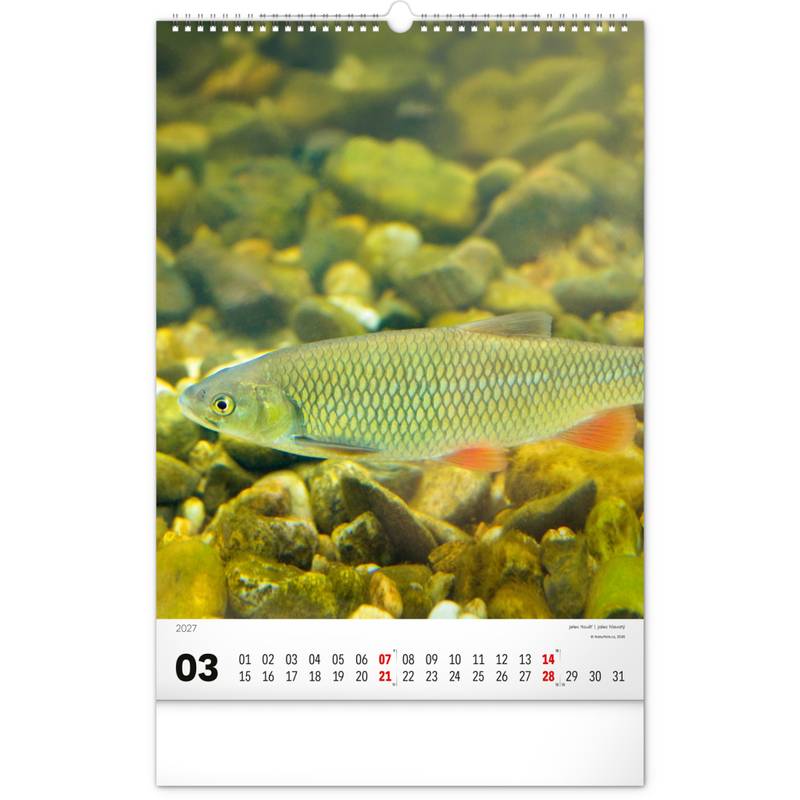 NOTIQUE Nástěnný kalendář Rybářský – Rybářský CZ/SK 2027, 33 x 46 cm NOTIQUE Nástěnný kalendář Rybářský – Rybářský CZ/SK 2027, 33 x 46 cm