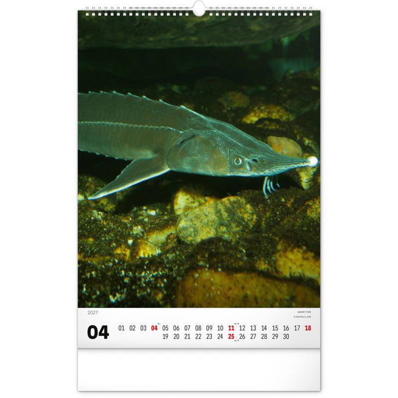 NOTIQUE Nástěnný kalendář Rybářský – Rybářský CZ/SK 2027, 33 x 46 cm NOTIQUE Nástěnný kalendář Rybářský – Rybářský CZ/SK 2027, 33 x 46 cm