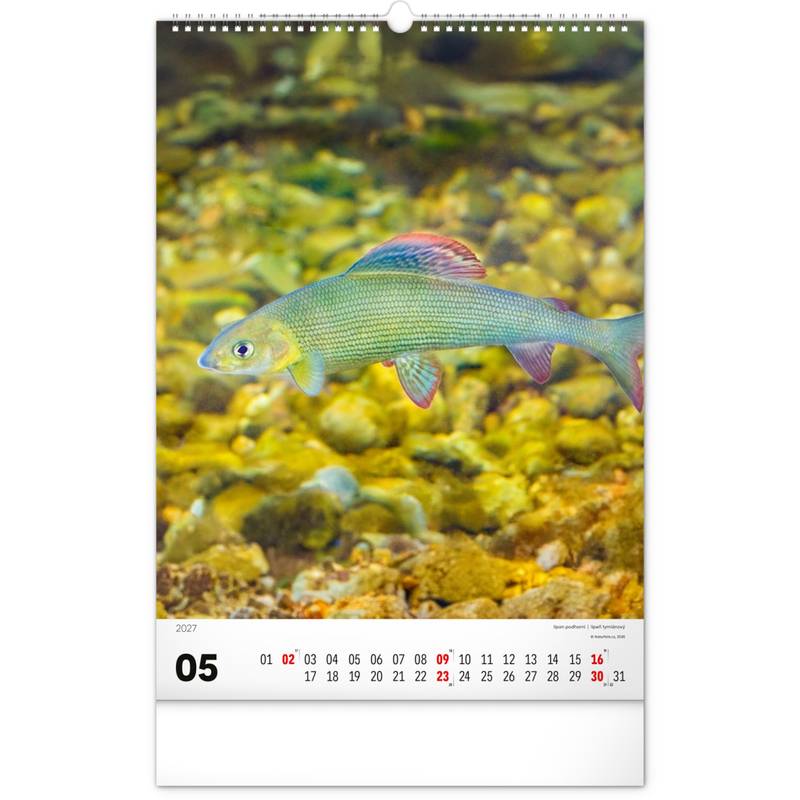 NOTIQUE Nástěnný kalendář Rybářský – Rybářský CZ/SK 2027, 33 x 46 cm NOTIQUE Nástěnný kalendář Rybářský – Rybářský CZ/SK 2027, 33 x 46 cm