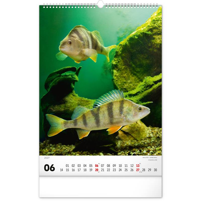 NOTIQUE Nástěnný kalendář Rybářský – Rybářský CZ/SK 2027, 33 x 46 cm NOTIQUE Nástěnný kalendář Rybářský – Rybářský CZ/SK 2027, 33 x 46 cm