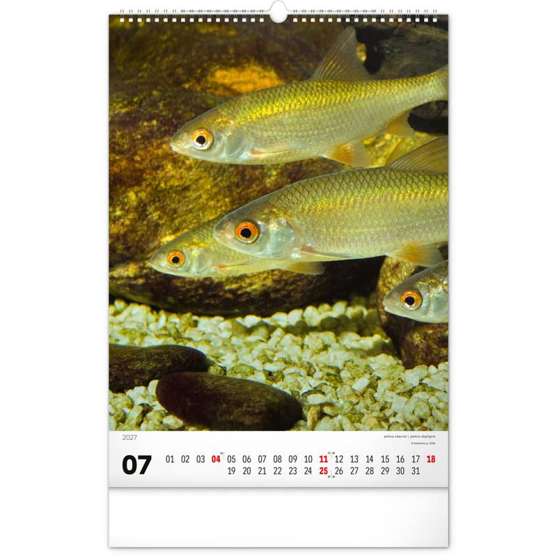 NOTIQUE Nástěnný kalendář Rybářský – Rybářský CZ/SK 2027, 33 x 46 cm NOTIQUE Nástěnný kalendář Rybářský – Rybářský CZ/SK 2027, 33 x 46 cm