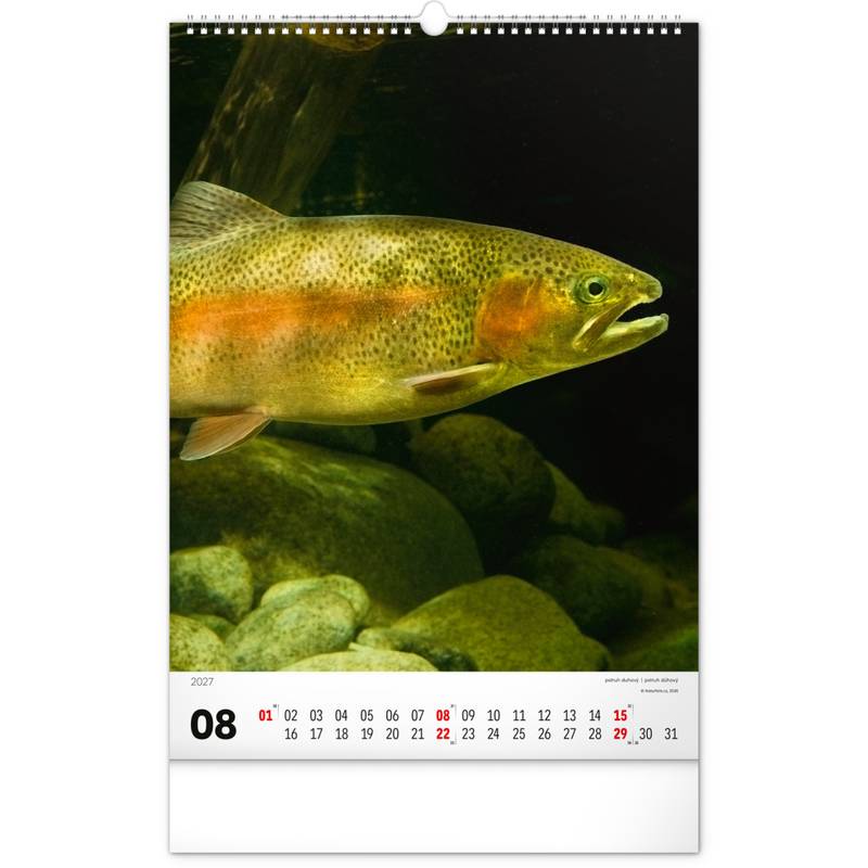 NOTIQUE Nástěnný kalendář Rybářský – Rybářský CZ/SK 2027, 33 x 46 cm NOTIQUE Nástěnný kalendář Rybářský – Rybářský CZ/SK 2027, 33 x 46 cm