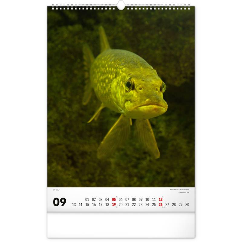 NOTIQUE Nástěnný kalendář Rybářský – Rybářský CZ/SK 2027, 33 x 46 cm NOTIQUE Nástěnný kalendář Rybářský – Rybářský CZ/SK 2027, 33 x 46 cm