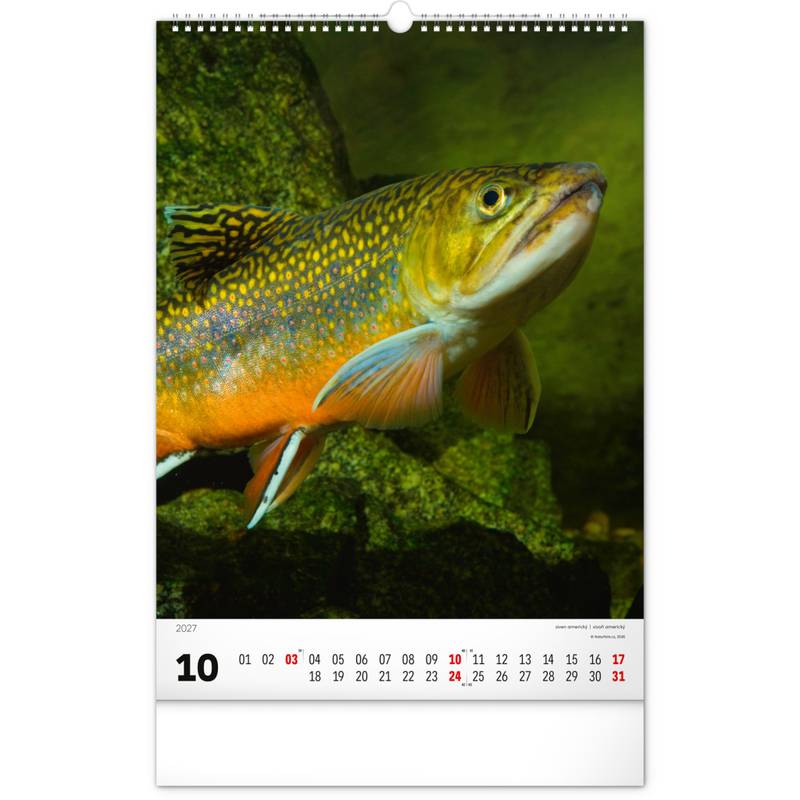 NOTIQUE Nástěnný kalendář Rybářský – Rybářský CZ/SK 2027, 33 x 46 cm NOTIQUE Nástěnný kalendář Rybářský – Rybářský CZ/SK 2027, 33 x 46 cm