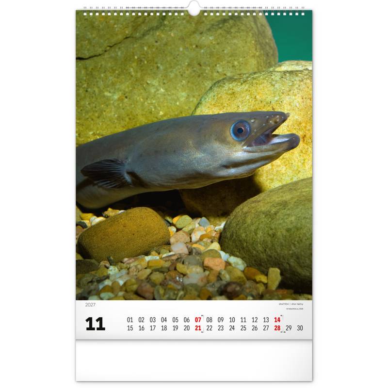 NOTIQUE Nástěnný kalendář Rybářský – Rybářský CZ/SK 2027, 33 x 46 cm NOTIQUE Nástěnný kalendář Rybářský – Rybářský CZ/SK 2027, 33 x 46 cm
