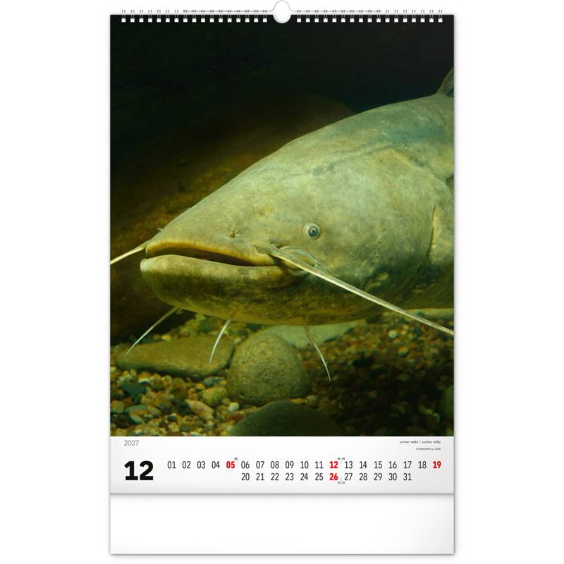NOTIQUE Nástěnný kalendář Rybářský – Rybářský CZ/SK 2027, 33 x 46 cm NOTIQUE Nástěnný kalendář Rybářský – Rybářský CZ/SK 2027, 33 x 46 cm