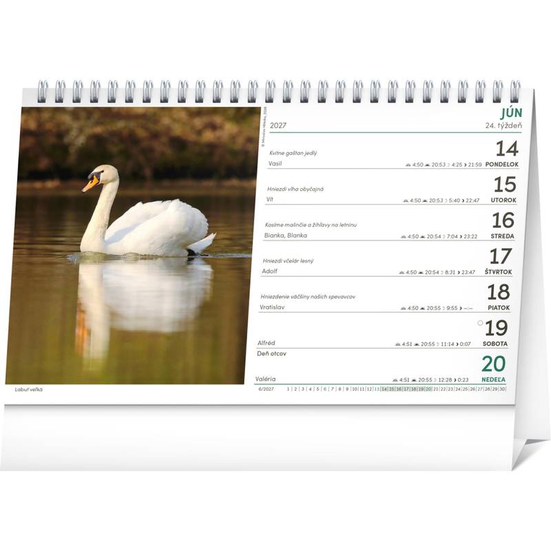 NOTIQUE Stolový Poľovnícky kalendár 2027, 23,1 x 14,5 cm NOTIQUE Stolový Poľovnícky kalendár 2027, 23,1 x 14,5 cm