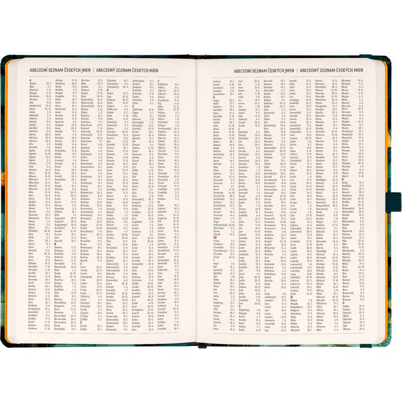 NOTIQUE Planbook diář/notes Kočka 2027, 13 x 21 cm NOTIQUE Planbook diář/notes Kočka 2027, 13 x 21 cm