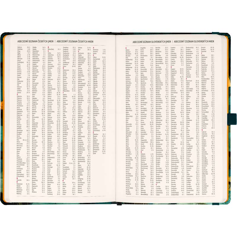NOTIQUE Planbook diář/notes Kočka 2027, 13 x 21 cm NOTIQUE Planbook diář/notes Kočka 2027, 13 x 21 cm