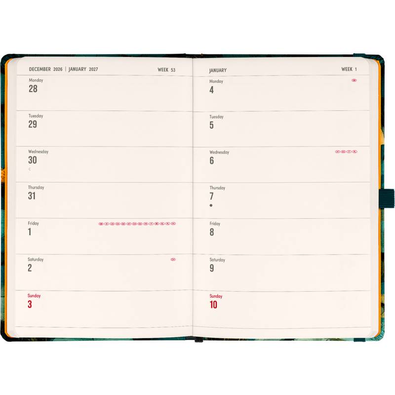 NOTIQUE Planbook planner/notebook Cat 2027, 13 x 21 cm NOTIQUE Planbook planner/notebook Cat 2027, 13 x 21 cm