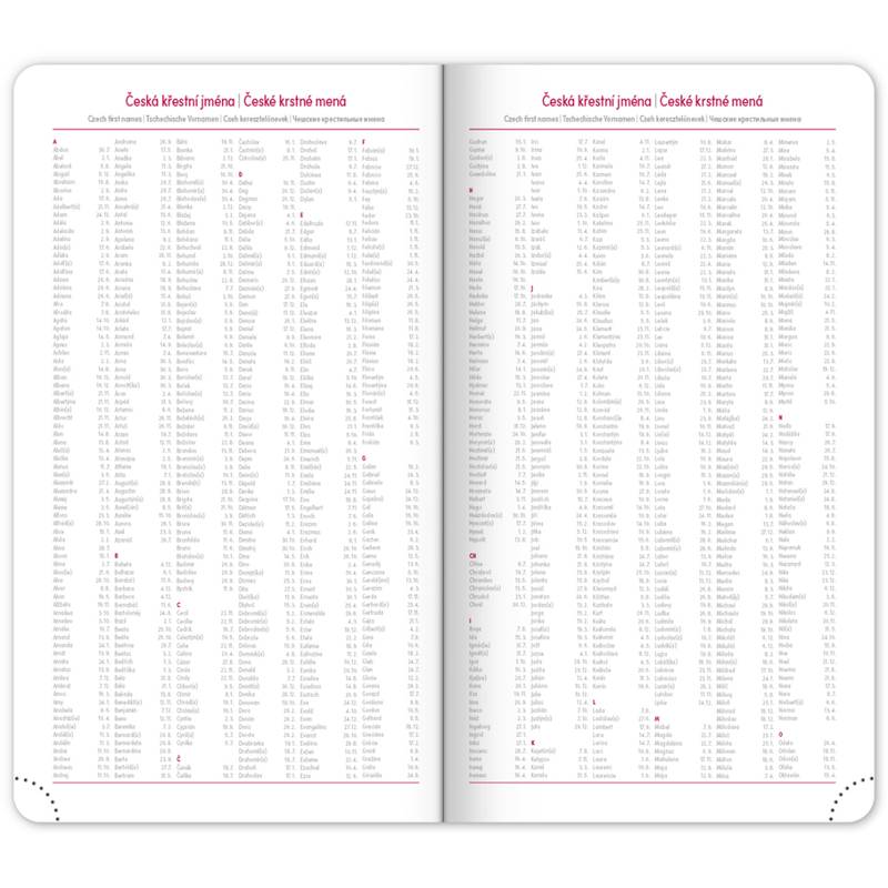 NOTIQUE Kapesní diář Ajax 2027, zlatý, 9 x 15,5 cm NOTIQUE Kapesní diář Ajax 2027, zlatý, 9 x 15,5 cm