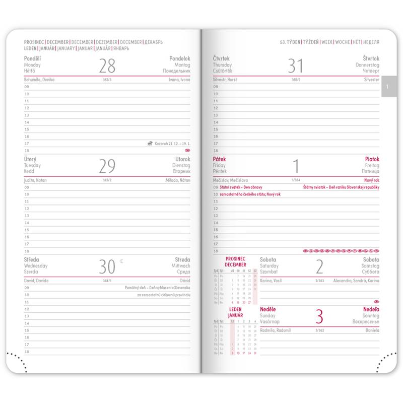 NOTIQUE Kapesní diář Ajax 2027, zlatý, 9 x 15,5 cm NOTIQUE Kapesní diář Ajax 2027, zlatý, 9 x 15,5 cm