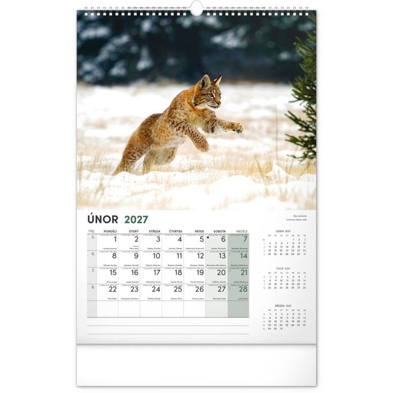 NOTIQUE Nástěnný kalendář Lovecký CZ 2027, 33 x 46 cm NOTIQUE Nástěnný kalendář Lovecký CZ 2027, 33 x 46 cm