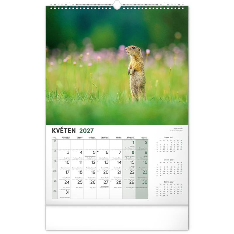 NOTIQUE Nástěnný kalendář Lovecký CZ 2027, 33 x 46 cm NOTIQUE Nástěnný kalendář Lovecký CZ 2027, 33 x 46 cm