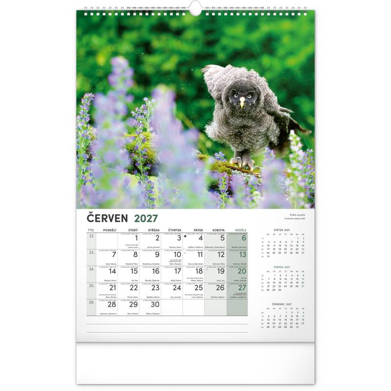 NOTIQUE Nástěnný kalendář Lovecký CZ 2027, 33 x 46 cm NOTIQUE Nástěnný kalendář Lovecký CZ 2027, 33 x 46 cm