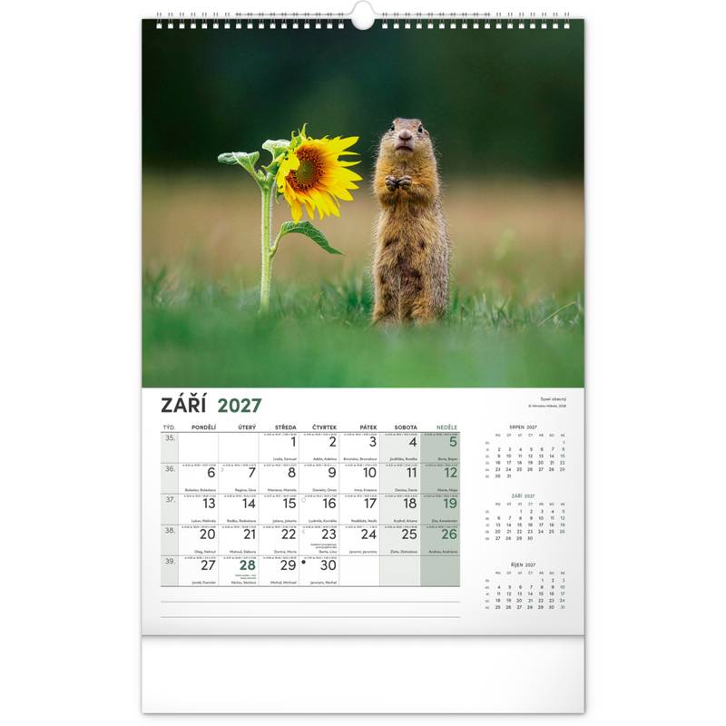 NOTIQUE Nástěnný kalendář Lovecký CZ 2027, 33 x 46 cm NOTIQUE Nástěnný kalendář Lovecký CZ 2027, 33 x 46 cm