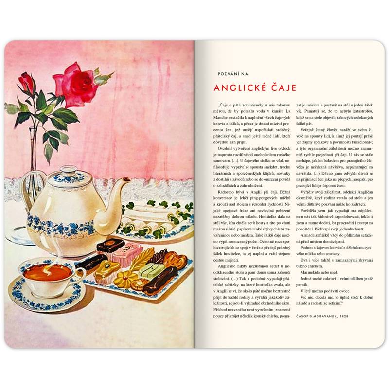 NOTIQUE Zábavný kalendář Kateřiny Winterové CZ 2027, 13 x 21 cm NOTIQUE Zábavný kalendář Kateřiny Winterové CZ 2027, 13 x 21 cm