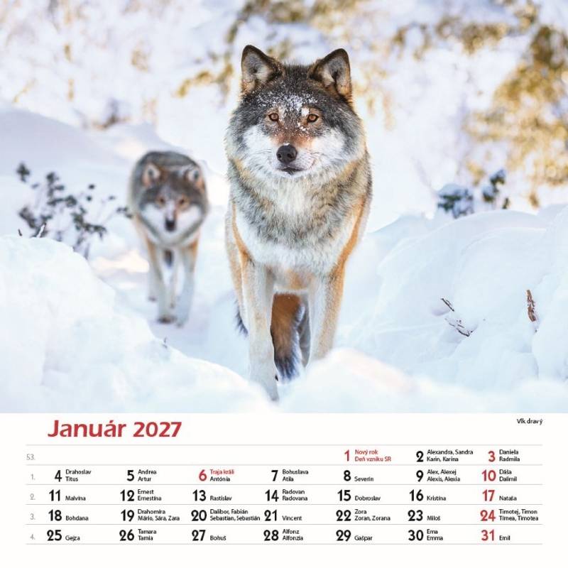 Nástenný kalendár Les a jeho príbehy 2027 Nástenný kalendár Les a jeho príbehy 2027