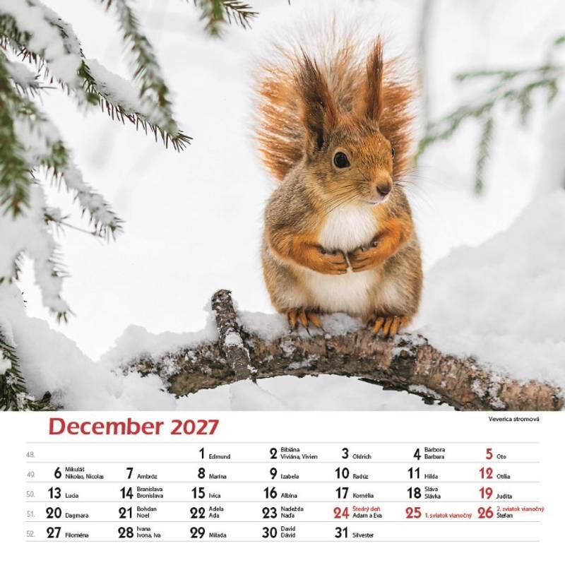 Nástenný kalendár Les a jeho príbehy 2027 Nástenný kalendár Les a jeho príbehy 2027