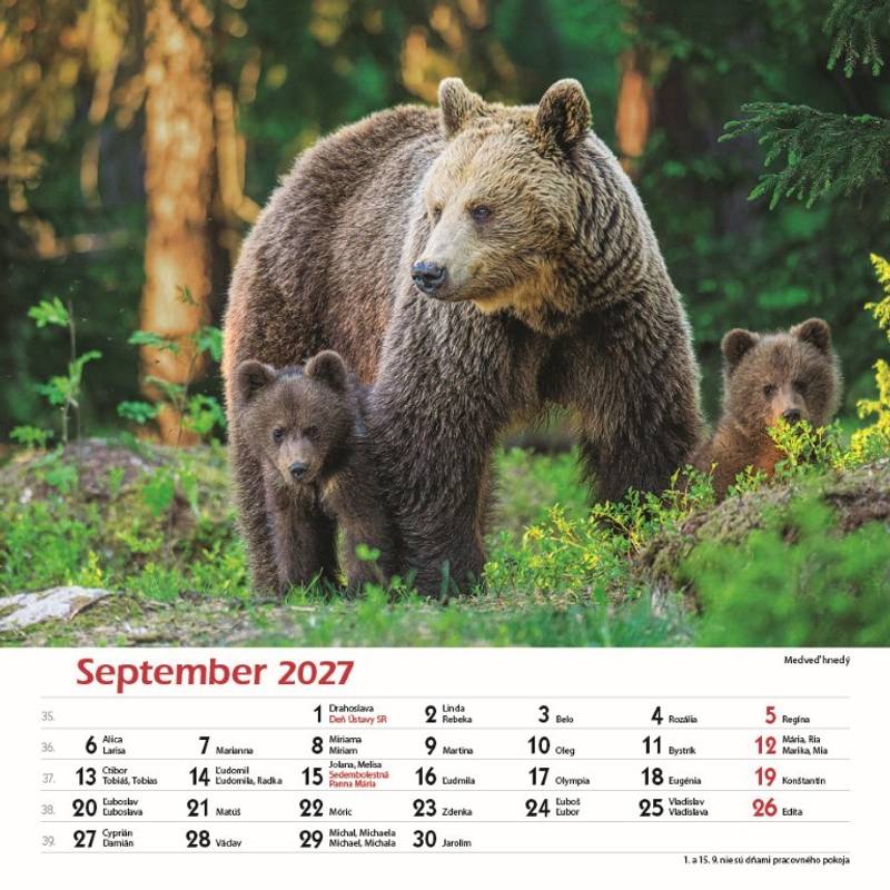 Nástenný kalendár Les a jeho príbehy 2027 Nástenný kalendár Les a jeho príbehy 2027