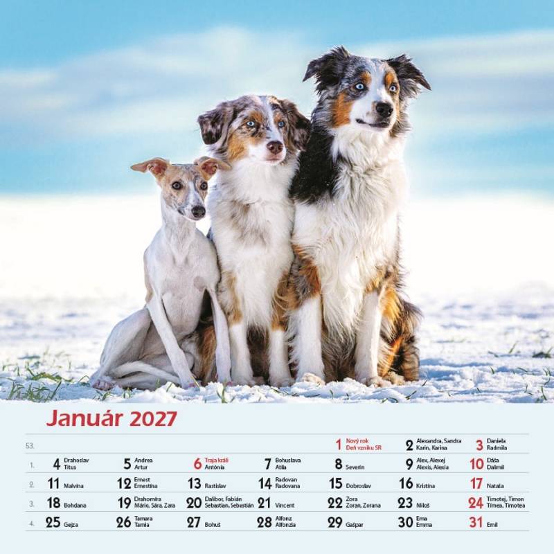Nástenný kalendár Priatelia 2027 Nástenný kalendár Priatelia 2027