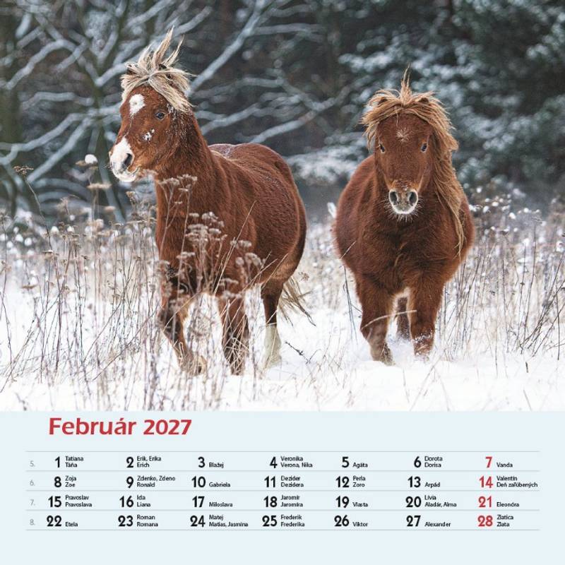 Nástenný kalendár Priatelia 2027 Nástenný kalendár Priatelia 2027