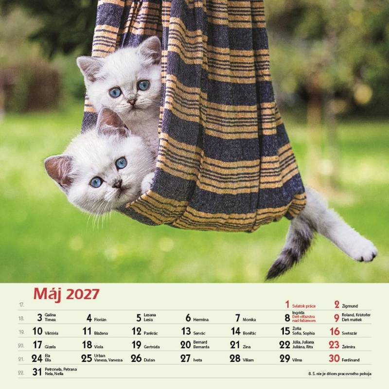 Nástenný kalendár Priatelia 2027 Nástenný kalendár Priatelia 2027