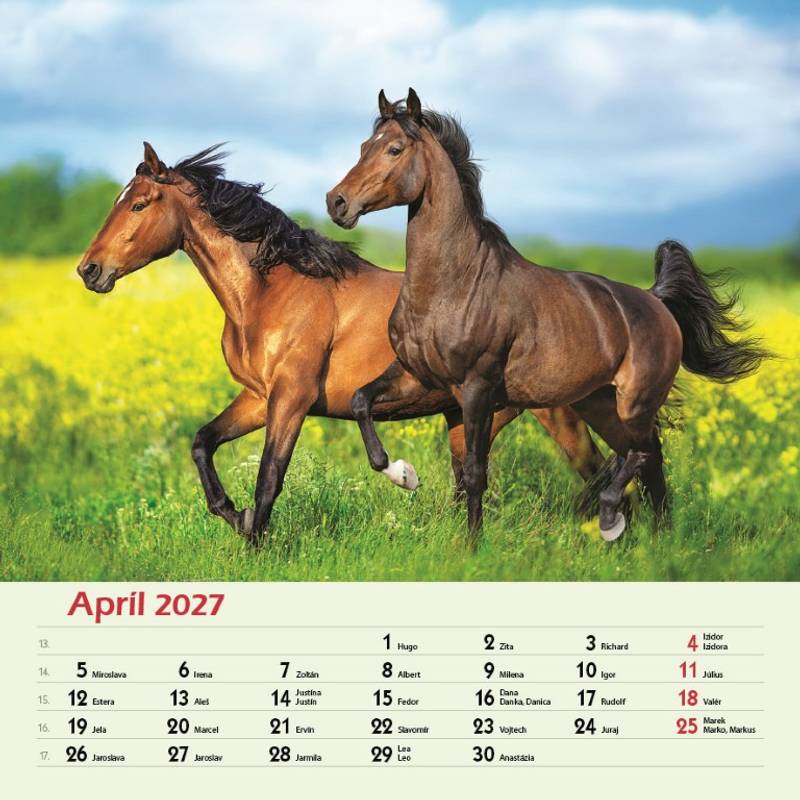Nástenný kalendár Kone 2027 Nástenný kalendár Kone 2027