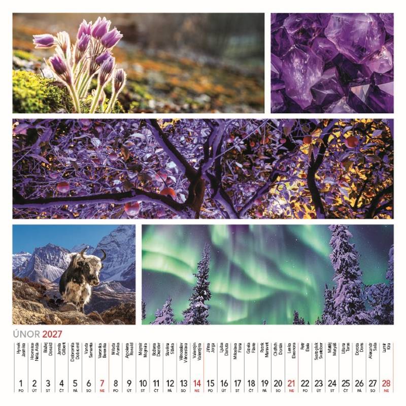 Kalendář 2027 nástěnný: COLOURS OF NATURE Kalendář 2027 nástěnný: COLOURS OF NATURE