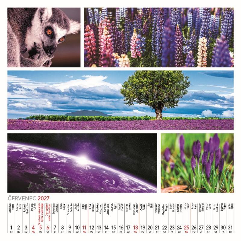 Kalendář 2027 nástěnný: COLOURS OF NATURE Kalendář 2027 nástěnný: COLOURS OF NATURE