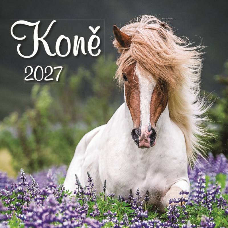 Kalendář 2027 nástěnný: KONĚ Kalendář 2027 nástěnný: KONĚ