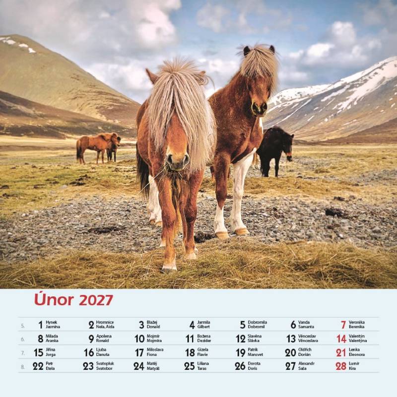 Kalendář 2027 nástěnný: KONĚ Kalendář 2027 nástěnný: KONĚ