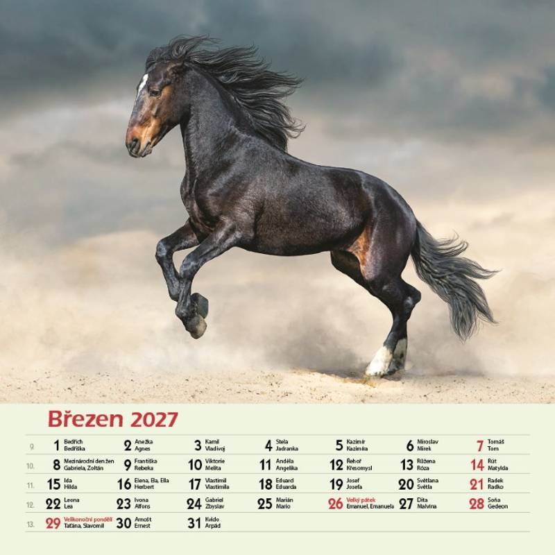 Kalendář 2027 nástěnný: KONĚ Kalendář 2027 nástěnný: KONĚ