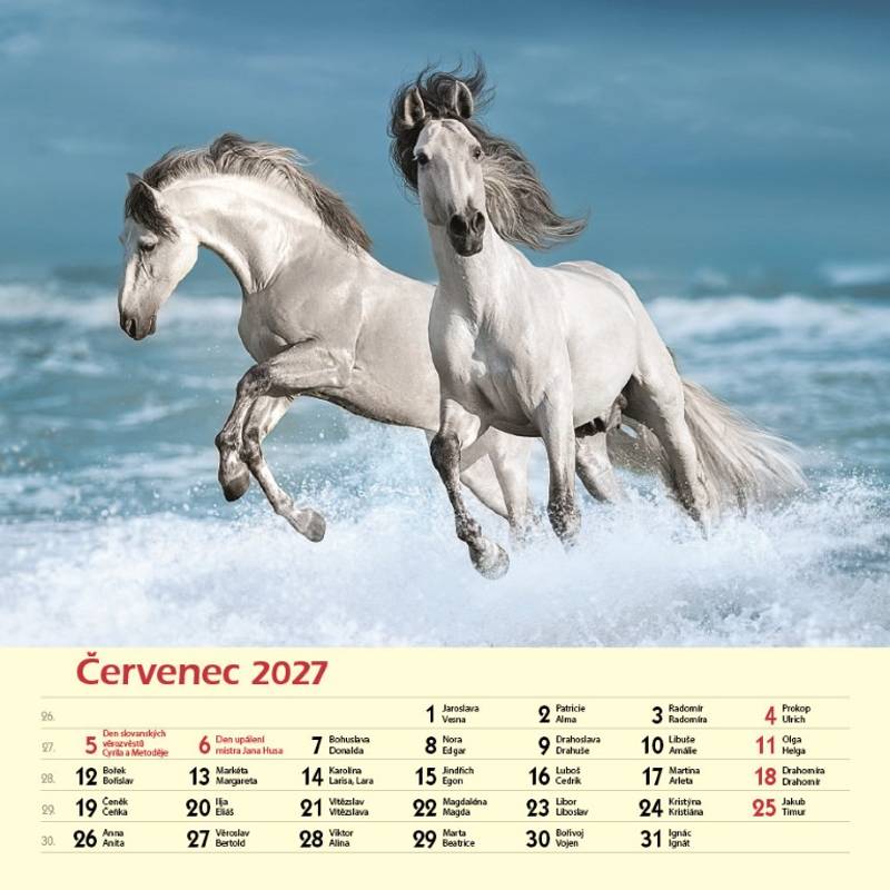 Kalendář 2027 nástěnný: KONĚ Kalendář 2027 nástěnný: KONĚ