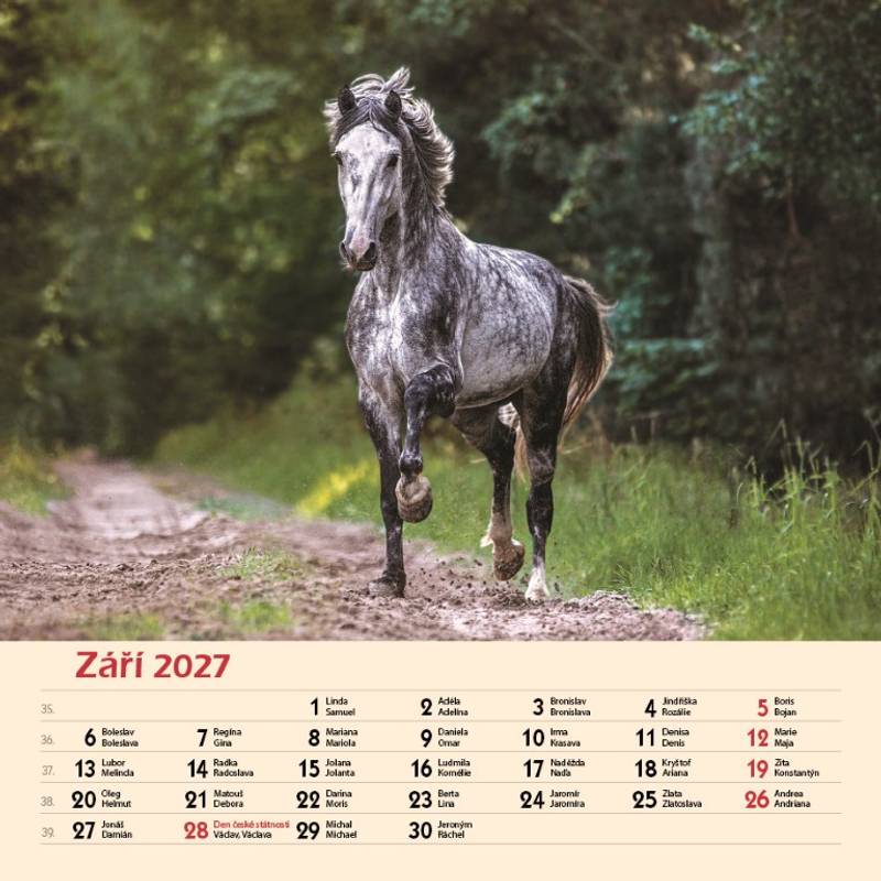 Kalendář 2027 nástěnný: KONĚ Kalendář 2027 nástěnný: KONĚ