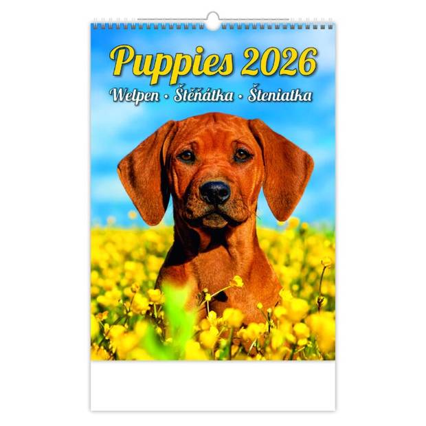 Kalendář Štěňátka, 2026 Kalendář Štěňátka, 2026