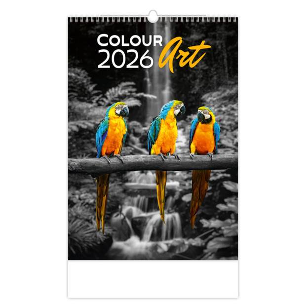 Kalendář Colour Art, 2026 Kalendář Colour Art, 2026